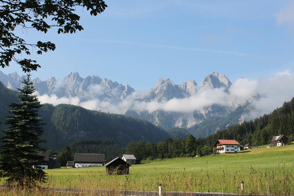 Muhlradl Apartments Gosau Exterior photo